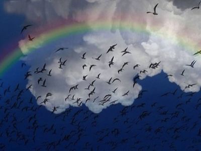 Arcobaleno