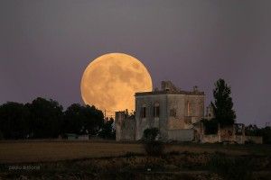 Vespri del Salento