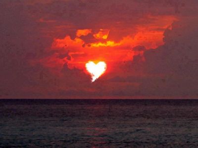 Cuore silenzioso