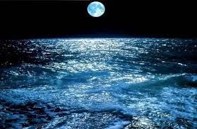 Marea