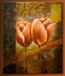 Tulipani