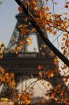 Parigi