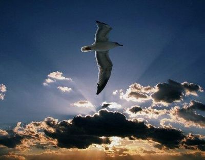 Respiro