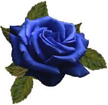 Ritratto di donna