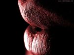 Nel buio della notte