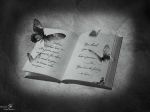 Il mio pi� caro amico