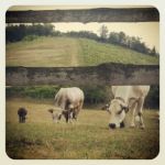 En passant