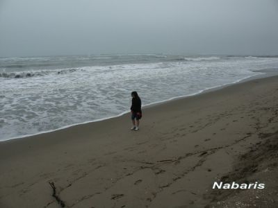 Mare d'inverno
