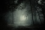 Nella notte