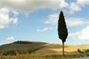 Incanti di notti sognanti