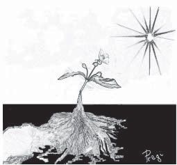 Tenero germoglio