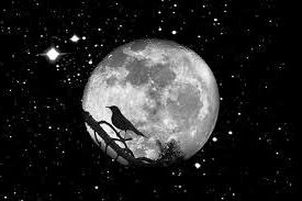 Notte di giugno