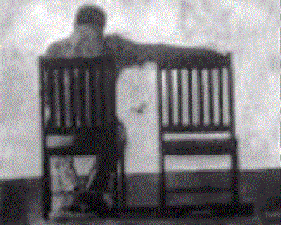 Vivo � l'amore