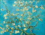 Sar� amore