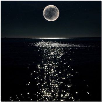 Il destino � nelle stelle