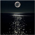 Il destino � nelle stelle