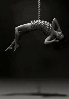 Spine
