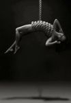 Spine