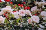 Settembre