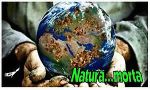 Natura... morta