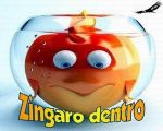 Zingaro dentro