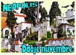Doje nuvembre