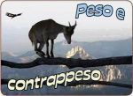 Peso e contrappeso