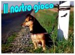 Il nostro gioco
