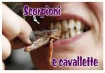 Scorpioni e cavallette