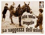 Alis volat propriis