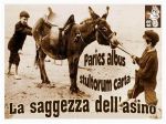 Paries albus stultorum carta