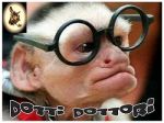 Dotti dottori