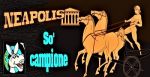 So� campione! (vacanze)