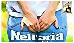 Nell�aria