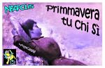 Primmavera tu chi s�