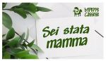 Sei stata mamma