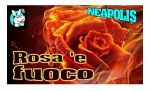 Rosa �e fuoco