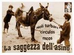 Noli turbare circulos meos