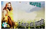 E dint�a sta jurnata