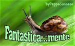 Fantastica... mente