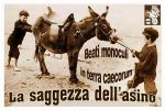 Beati monoculi in terra caecorum