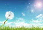 Al di l� del creato