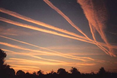 Scie di Pensiero