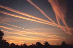 Scie di Pensiero