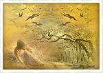 Anch�io