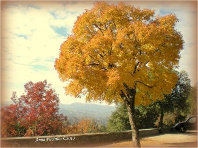 Autunno