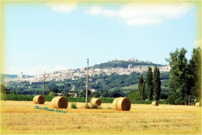 Assisi