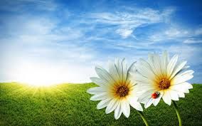 Prima primavera