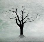 Come alberi