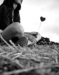 Cosi sei andato via